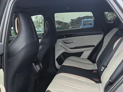 BYD PLUS New Energy 2022, 70000 км, за 59800 CNY - фото 9