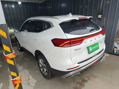 Haval H6 2022, 59800 км, за 57300 CNY - фото 23