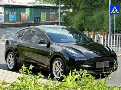Tesla Model Y 2023, 60000 км, за 168000 CNY