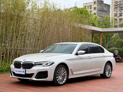 BMW 5 Series · 2022 год
