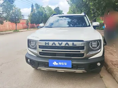 Haval Big Dog 2024, 36800 км, за 79800 CNY