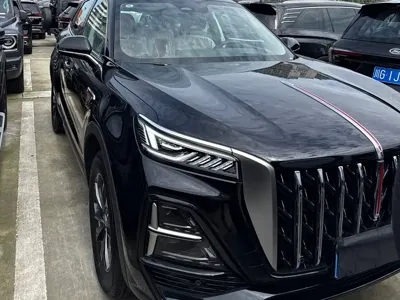 Hongqi Hongqi HS5 2025, 100 км, за 133400 CNY