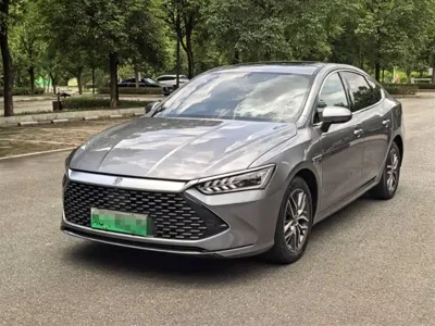 BYD Qin Plus · 2024 год