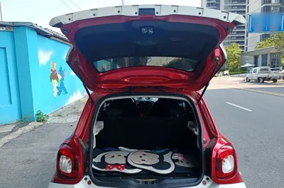 Smart Forfour 2016, 49000 км, за 56033.33 CNY - фото 22