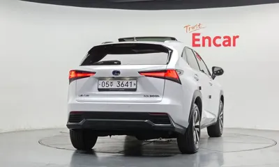 Lexus NX 2019, 39301 км, за 35000000 KRW