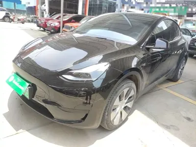 Tesla Model Y · 2023 год