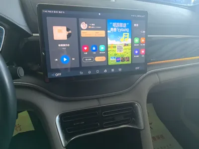 BYD Song PLUS New Energy 2023, 31200 км, за 105222.53 CNY - фото 16