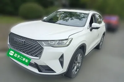 Haval H6 · 2021 год