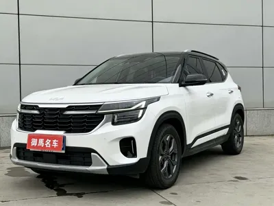 Kia Seltos · 2023 год