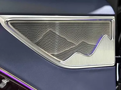 Hongqi 红旗金葵花国雅 2024, 41000 км, за 1038000 CNY - фото 16