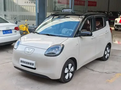 Wuling MINIEV · 2025 год