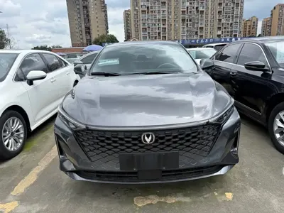 Changan Ruicheng PLUS 2024, 34000 км, за 49000 CNY - фото 3