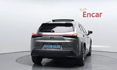 Lexus UX 2022, 70034 км, за 27500000 KRW