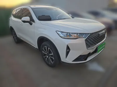 Haval H6 2021, 47900 км, за 57787.68 CNY