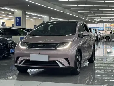BYD Dolphin · 2024 год