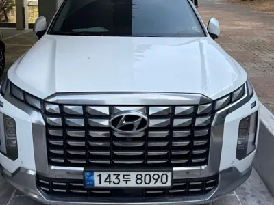 Hyundai Palisade · 2023 год