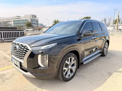 Hyundai Palisade · 2022 год