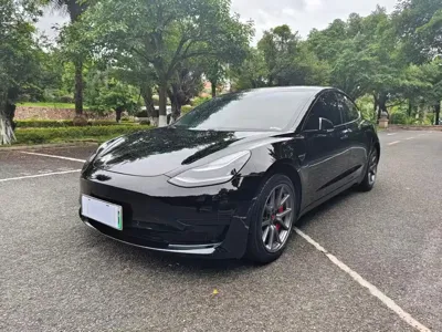 Tesla Model 3 · 2020 год