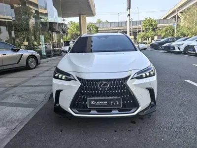 Lexus NX New Energy 2023, 36000 км, за 258000 CNY - фото 8