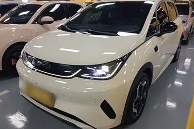 BYD Dolphin · 2025 год