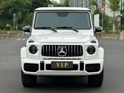 Mercedes-Benz G-Class · 2017 год