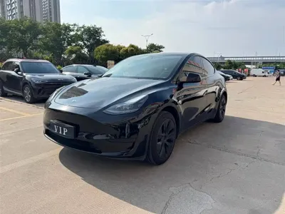 Tesla Model Y · 2024 год