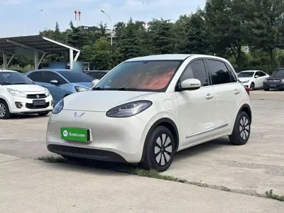 Wuling Bingo · 2024 год