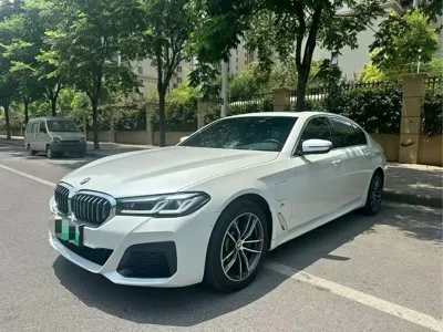 BMW 5 Series New Energy · 2020 год