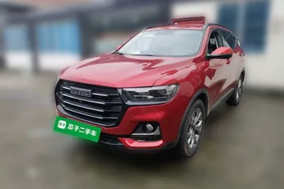 Haval H6 2021, 13899 км, за 51984.07 CNY - фото 1