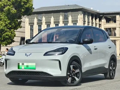 Wuling Bingo PLUS · 2024 год