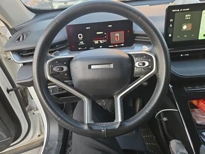 Haval H6 2021, 47900 км, за 57787.68 CNY - фото 11