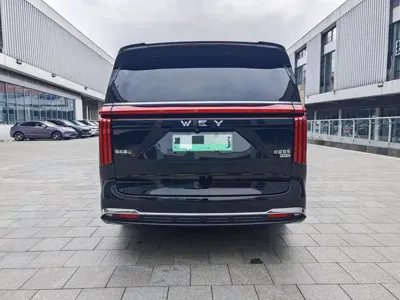 WEY Wey Gaoshan 2024, 38000 км, за 219800 CNY