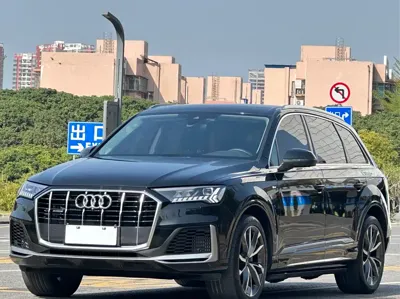 Audi Q7 · 2024 год