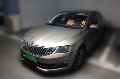 Skoda Octavia · 2019 год