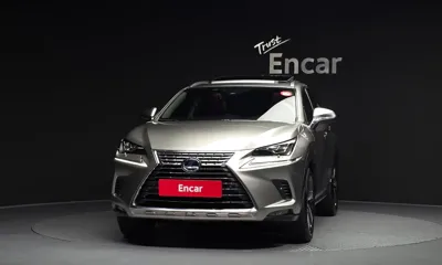 Lexus NX 2021, 51563 км, за 39700000 KRW