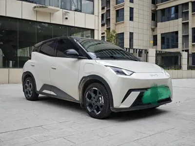 BYD Seagull 2025, 8000 км, за 58800 CNY