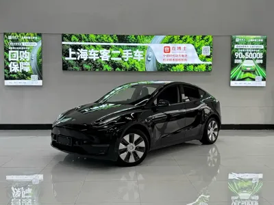 Tesla Model Y · 2021 год