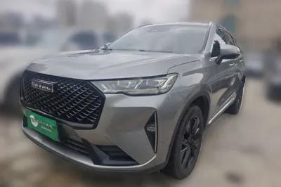 Haval H6 · 2021 год