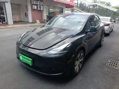 Tesla Model Y · 2023 год