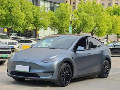 Tesla Model Y · 2022 год
