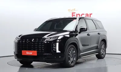 Hyundai Palisade · 2024 год