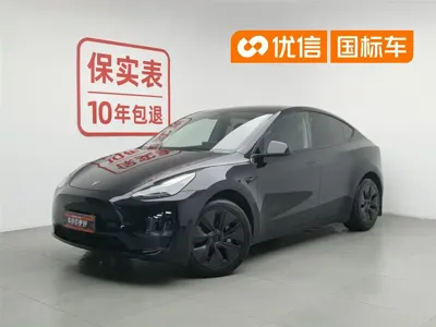 Tesla Model Y · 2023 год