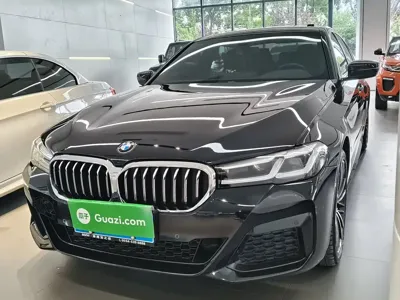 BMW 5 Series · 2022 год