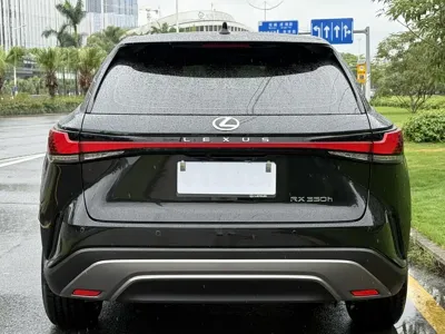 Lexus RX 2025, 13000 км, за 313300 CNY - фото 6