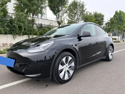 Tesla Model Y · 2022 год