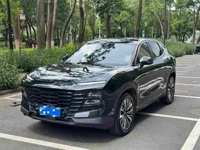Jetour Dasheng · 2023 год