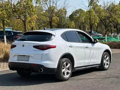 Alfa Romeo Stelvio 2018, 80000 км, за 69800 CNY - фото 7