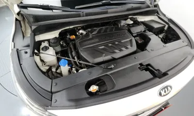 Kia Canival 2019, 144447 км, за 13800000 KRW - фото 6