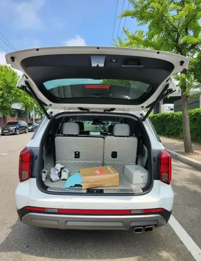 Hyundai Palisade 2024, 17000 км, за 42900000 KRW - фото 2