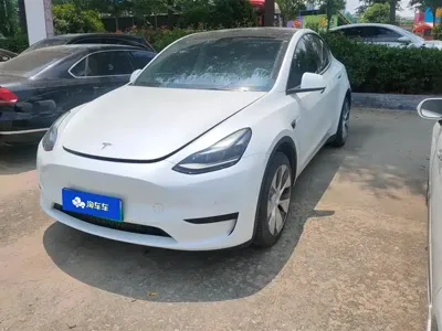 Tesla Model Y · 2023 год